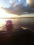 photo221033.png