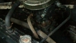 photo225999.png