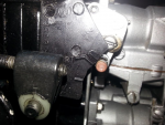 photo236408.png