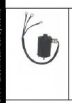 Sierra2015_Catalog00798im.jpg