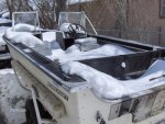 Snow--3-28-2009.jpg