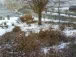 1snow1209.jpg