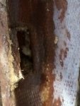 Stringer Hole Small.jpg