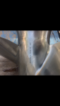 photo241208.png