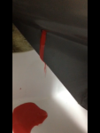 photo244446.png