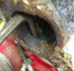photo250302.png