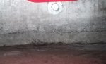 20160815_082055.jpg