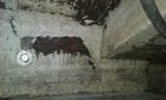 20160816_074729.jpg