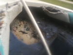 photo251607.png