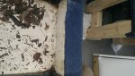 20170204_102509.jpg