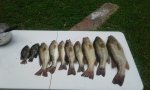 20170429_172237_resized.jpg