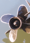 photo267980.png