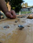 IMG_20170809_185058.jpg