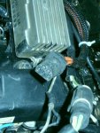 SS850306.JPG