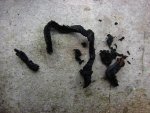 gummy worms.JPG