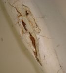 DSC04488.JPG