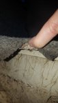 20171110_072555.jpg