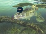 Lost Hat.JPG