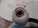 hub2.gif