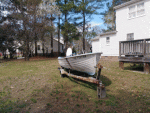 photo289538.gif