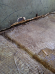 photo290111.png
