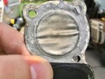 diaphragm.jpg