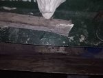 IMG_20170429_203803.jpg
