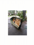 photo291029.png