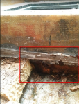 photo292428.png
