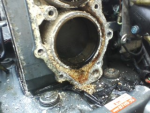 photo297016.png