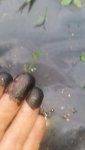 20180730_192015.jpg