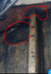 photo298387.png