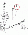 photo302505.gif