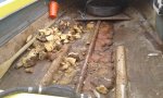 20181020_111736.jpg