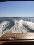 IMG_3177.jpg