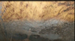 photo303647.png