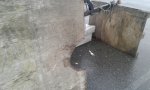 my boat floor 003.jpg
