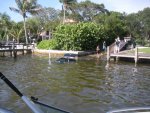 ib_DSCN0905.jpg