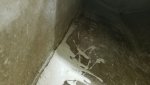 20190331_105311.jpg