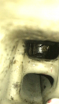 photo311246.png