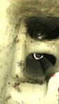 photo311247.png
