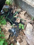 photo313328.jpg