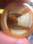 6BD385CB-C777-4C76-9B15-A78533AC5346.jpeg