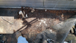 photo313628.gif