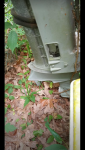 photo312262.png