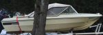 photo317265.png