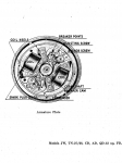 photo320728.png