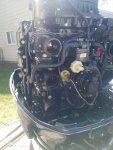evinrude pic 1.jpg