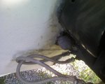 small Photo_072709_004.JPG