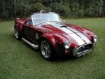 shelby1.jpg